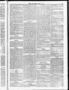 Weymouth Telegram Friday 05 June 1874 Page 5
