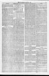 Weymouth Telegram Friday 19 June 1874 Page 5