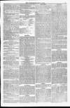 Weymouth Telegram Friday 17 July 1874 Page 5