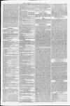 Weymouth Telegram Friday 25 September 1874 Page 5