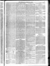 Weymouth Telegram Friday 20 November 1874 Page 5