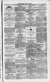 Weymouth Telegram Friday 26 March 1875 Page 7