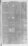 Weymouth Telegram Friday 22 January 1875 Page 3