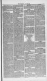 Weymouth Telegram Friday 21 May 1875 Page 5