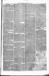 Weymouth Telegram Friday 14 January 1876 Page 5