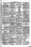 Weymouth Telegram Friday 18 February 1876 Page 11