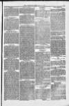 Weymouth Telegram Friday 25 February 1876 Page 5