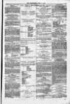 Weymouth Telegram Friday 07 April 1876 Page 7