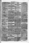 Weymouth Telegram Friday 02 June 1876 Page 5