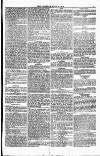 Weymouth Telegram Friday 16 June 1876 Page 5