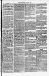 Weymouth Telegram Friday 30 June 1876 Page 5