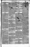 Weymouth Telegram Friday 07 July 1876 Page 5