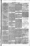 Weymouth Telegram Friday 07 July 1876 Page 9