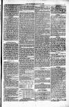 Weymouth Telegram Friday 21 July 1876 Page 5