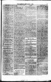 Weymouth Telegram Friday 01 September 1876 Page 5