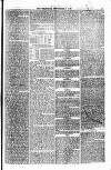 Weymouth Telegram Friday 08 September 1876 Page 5