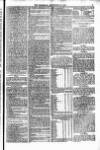 Weymouth Telegram Friday 15 September 1876 Page 5