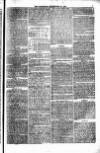 Weymouth Telegram Friday 22 September 1876 Page 5