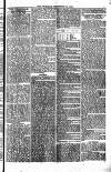 Weymouth Telegram Friday 29 September 1876 Page 3