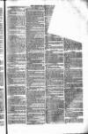 Weymouth Telegram Friday 20 October 1876 Page 5