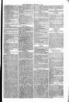 Weymouth Telegram Friday 27 October 1876 Page 5