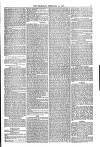 Weymouth Telegram Friday 16 February 1877 Page 3