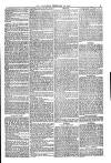 Weymouth Telegram Friday 16 February 1877 Page 5