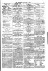 Weymouth Telegram Friday 16 February 1877 Page 7