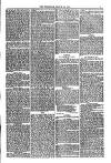 Weymouth Telegram Friday 23 March 1877 Page 3