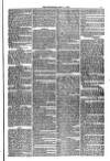 Weymouth Telegram Friday 11 May 1877 Page 3