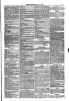 Weymouth Telegram Friday 11 May 1877 Page 5