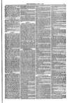 Weymouth Telegram Friday 01 June 1877 Page 3