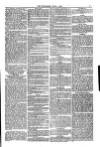 Weymouth Telegram Friday 01 June 1877 Page 5