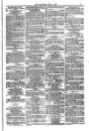 Weymouth Telegram Friday 01 June 1877 Page 11