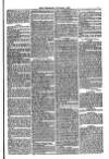 Weymouth Telegram Friday 05 October 1877 Page 5
