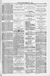 Weymouth Telegram Friday 08 February 1878 Page 9