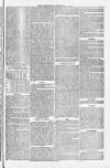 Weymouth Telegram Friday 15 February 1878 Page 5