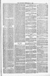 Weymouth Telegram Friday 15 February 1878 Page 9