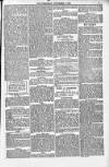 Weymouth Telegram Friday 06 December 1878 Page 7