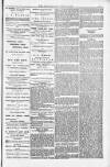 Weymouth Telegram Friday 13 December 1878 Page 3