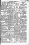 Weymouth Telegram Friday 20 December 1878 Page 11