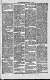 Weymouth Telegram Friday 27 December 1878 Page 5