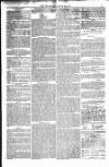 Weymouth Telegram Friday 28 March 1879 Page 9