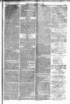 Weymouth Telegram Friday 06 June 1879 Page 7