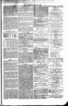 Weymouth Telegram Friday 13 June 1879 Page 7