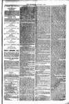 Weymouth Telegram Friday 01 August 1879 Page 3
