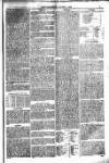 Weymouth Telegram Friday 01 August 1879 Page 7