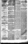 Weymouth Telegram Friday 05 September 1879 Page 3