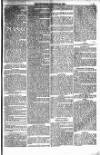 Weymouth Telegram Friday 24 October 1879 Page 7