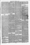 Weymouth Telegram Friday 30 January 1880 Page 5